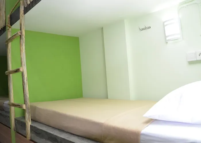 The Eco-living Hostel