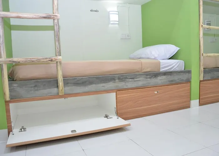 Hostel The Eco-living *