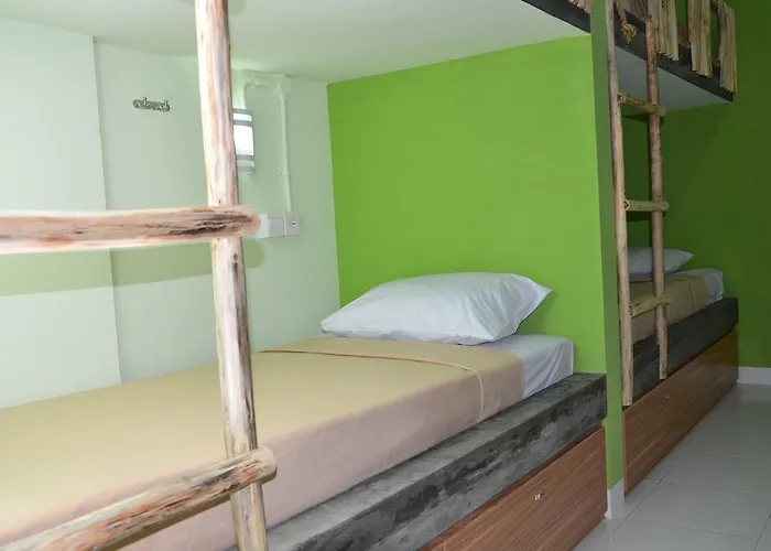 Hostel The Eco-living *