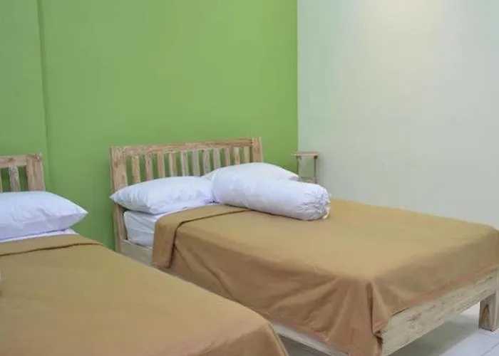 Hostel The Eco-living